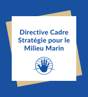 DCSMM - Plage de la Petite Afrique - Beaulieu/Mer