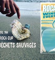Collecte Almanarre - Roca Cup