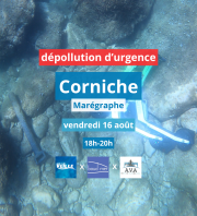 Dépollution d’urgence sur dépotoir de trottinettes – Corniche/Marégraphe