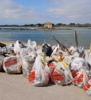 Nettoyage de plage et du littoral / Plage de Kerpenhir, Locmariaquer