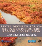 Collecte de Déchets sauvages Salin des Pesquiers à Hyères