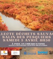 Collecte de Déchets sauvages Salin des Pesquiers à Hyères