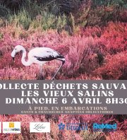 Collecte de Déchets Sauvages Vieux Salins