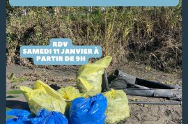 Clean up des berges du Var