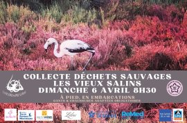 Collecte de Déchets Sauvages Vieux Salins