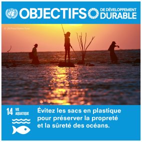 Image de l'événement Journée Mondiale des Océans