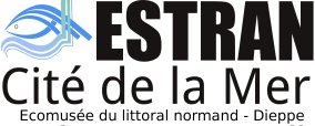 ESTRAN Cité de la Mer