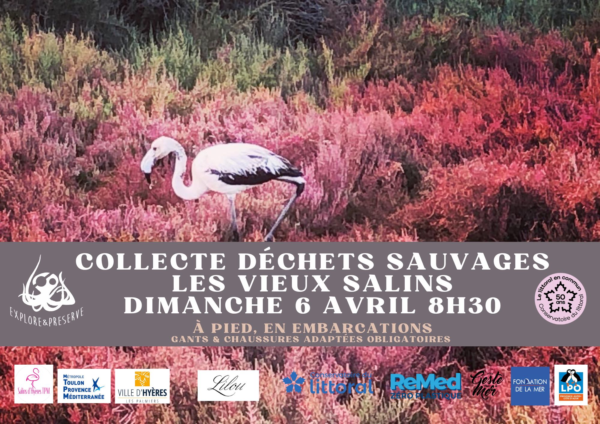 Collecte de Déchets Sauvages Vieux Salins